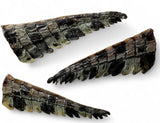 Crocodile Tail Tips @ Groundfloor Dog Treats