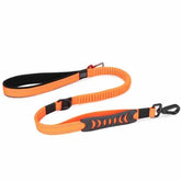 Multifunction Dog Lead 2 in 1 lead and seat belt - Orange