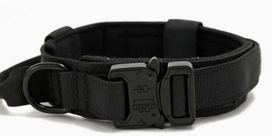 Heavy-Duty Dog Training Dog Collar with Handle - Black
