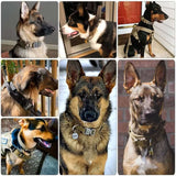 Heavy-Duty Dog Training Dog Collar with Handle