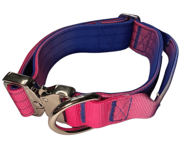 Heavy Duty Vibrant Gradient Dog Collar