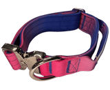 Heavy Duty Vibrant Gradient Dog Collar