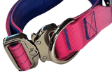 Heavy Duty Vibrant Gradient Dog Collar