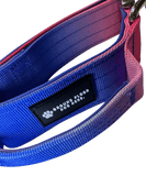 Heavy Duty Vibrant Gradient Dog Collar