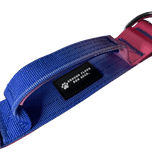 Heavy Duty Vibrant Gradient Dog Collar