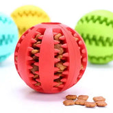 Interactive Dog Treat Ball @ Ground Floor Dog Treats