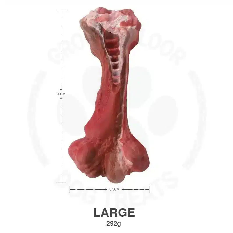 Natural Rubber Dog Chew Bone large @ Ground Floor Dog Treats