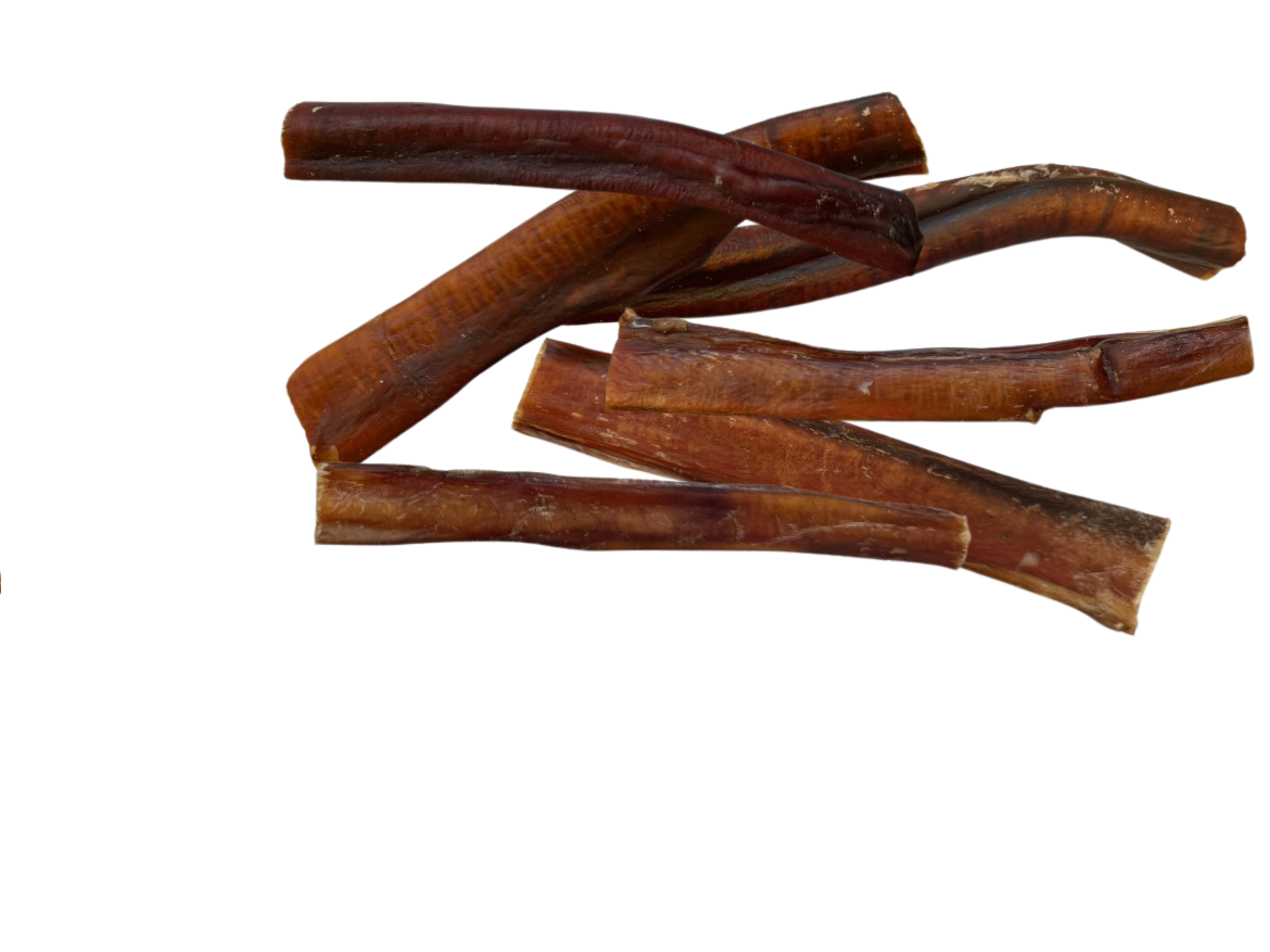 Beef Pizzle Sticks 15cm thick Dog Treats at GroundFloor Dog Treats