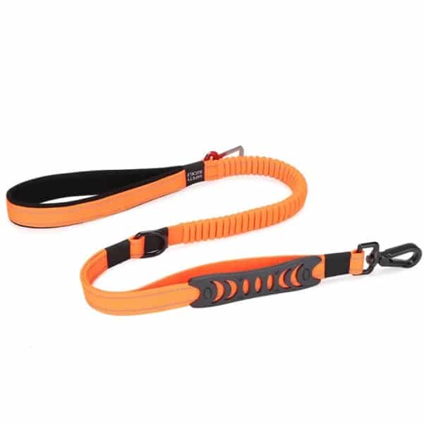 Multifunction Dog Lead 2 in 1 lead and seat belt - Orange