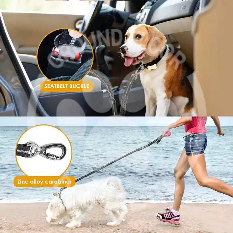 HD Multifunction Dog Leash 2in1 – Quality