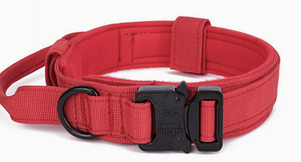 Heavy-Duty Dog Training Dog Collar with Handle - Red