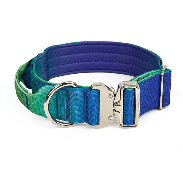Heavy Duty Vibrant Gradient Dog Collar