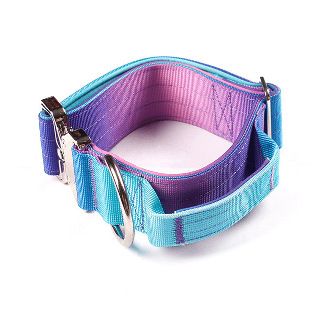 Heavy Duty Vibrant Gradient Dog Collar