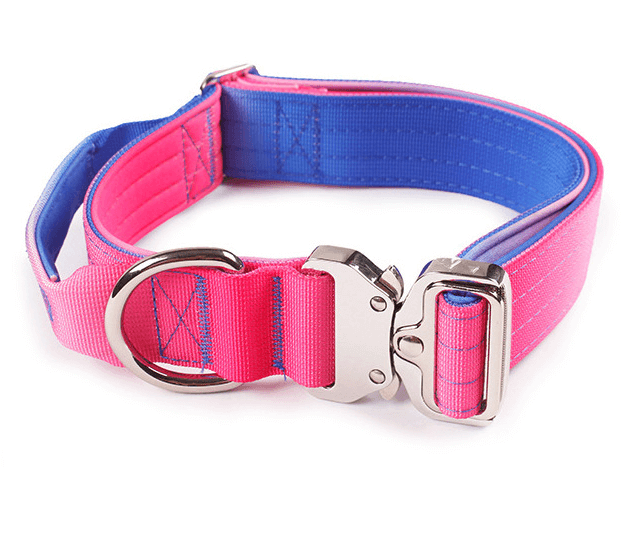 Heavy Duty Vibrant Gradient Dog Collar