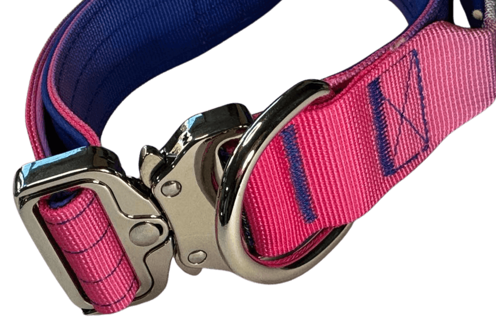 Heavy Duty Vibrant Gradient Dog Collar