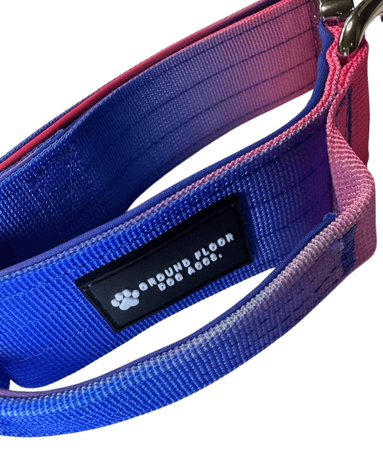 Heavy Duty Vibrant Gradient Dog Collar