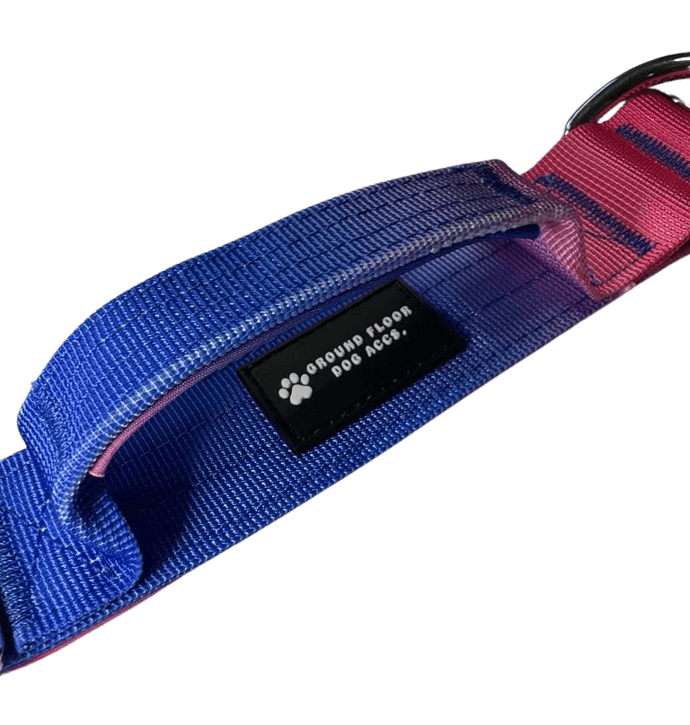 Heavy Duty Vibrant Gradient Dog Collar