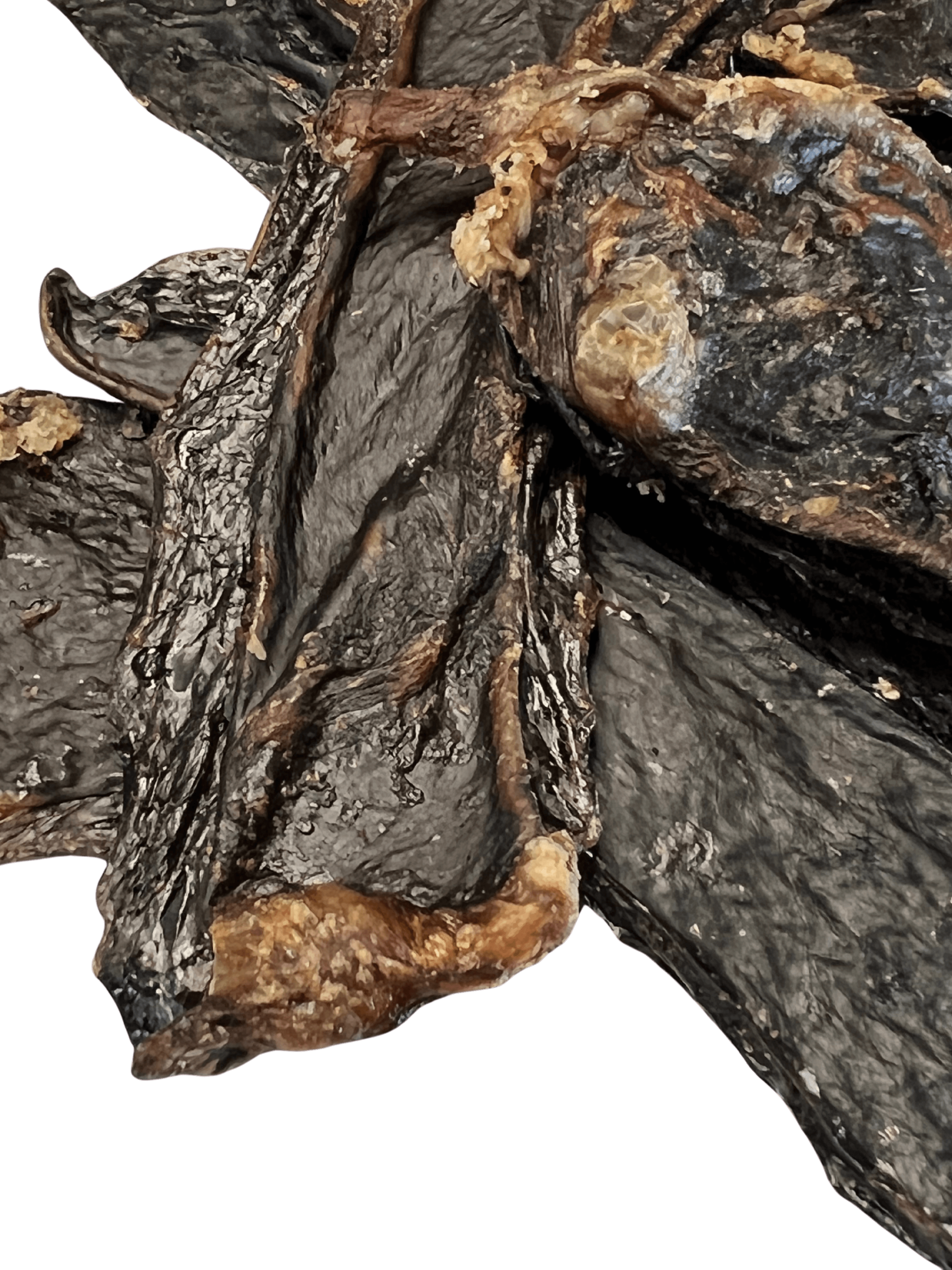 Lamb Jerky Crunch Dog Treats by Ground Floor Dog Treats