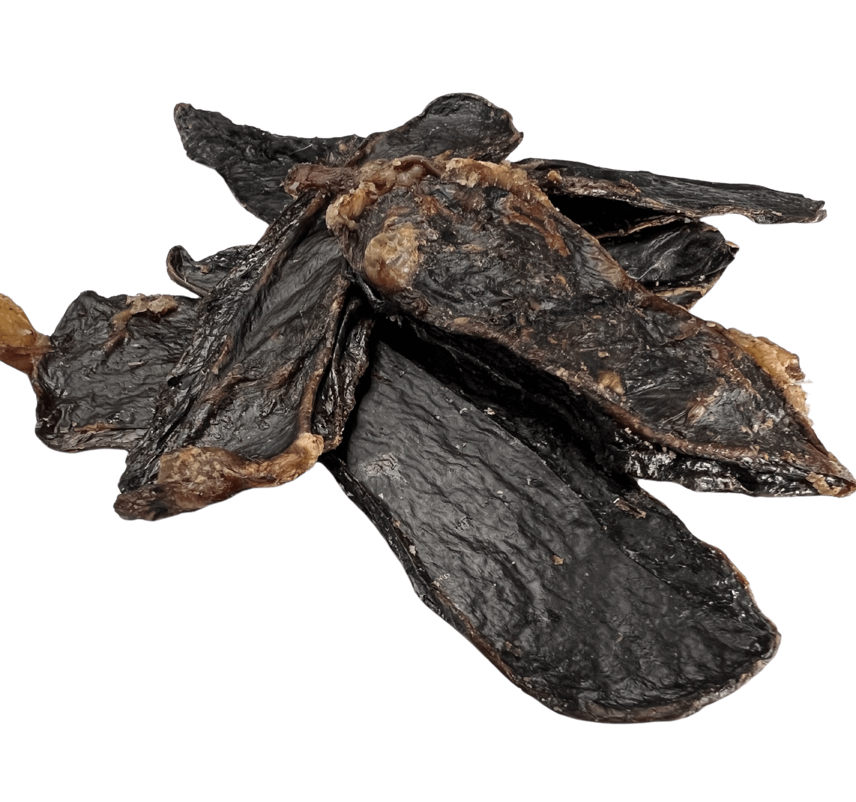 Lamb Jerky Crunch Dog Treats by Ground Floor Dog Treats