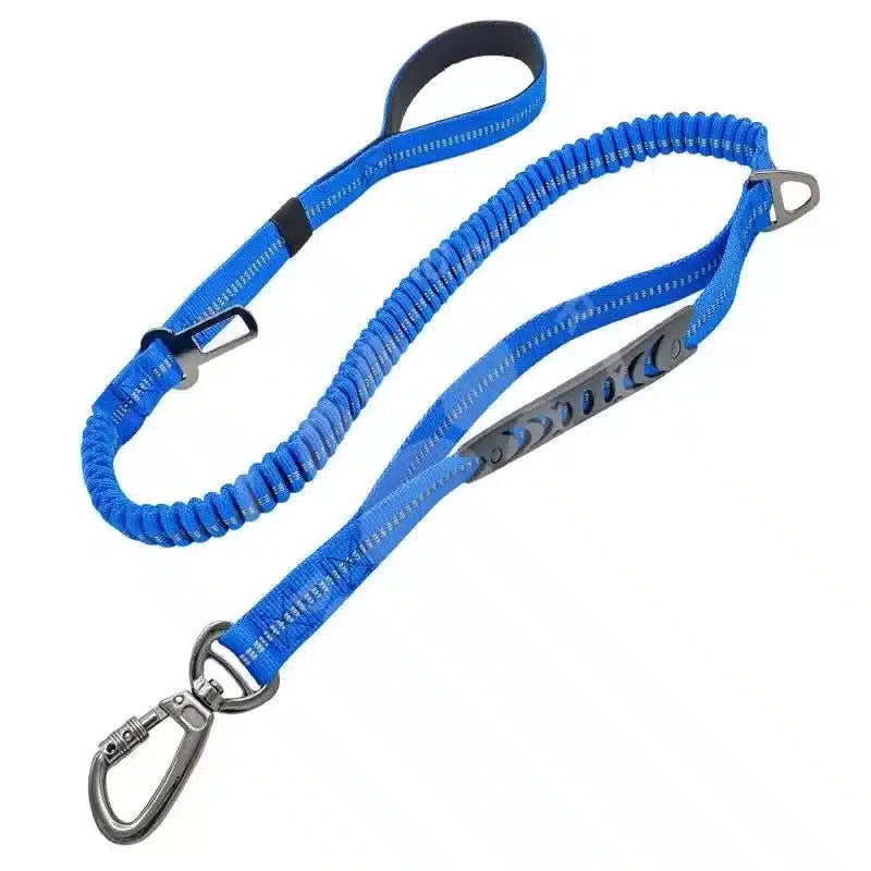 Heavy Duty Multifunction Dog Leash Blue – 2in1 – Long