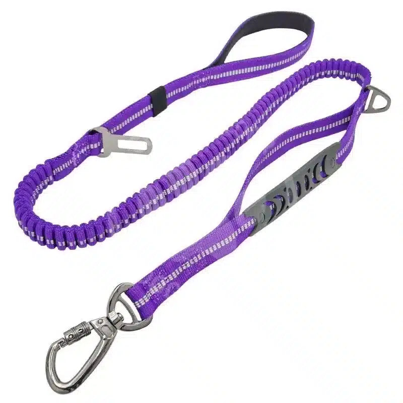Heavy Duty Multifunction Dog Leash Purple – 2in1 – Long