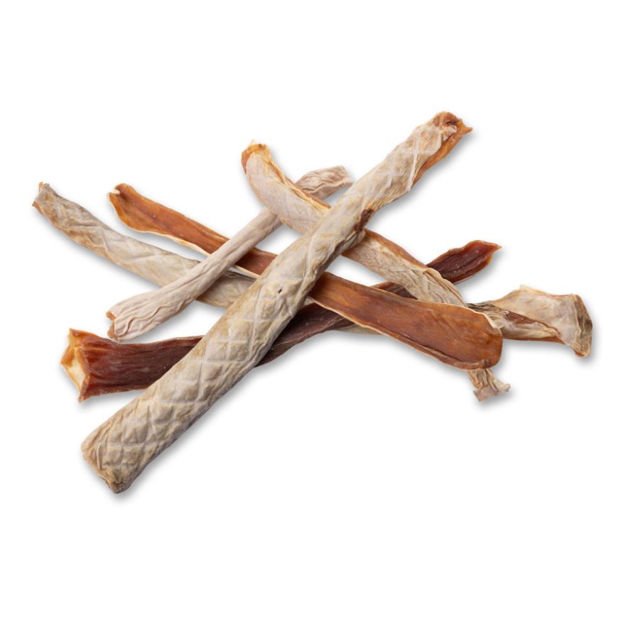 Shark Jerky Sticks Dog Treats at GroundFloor Dog Treats