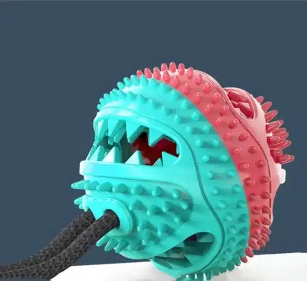 Suction Cup Interactive Dog Tug Chew Toy - Aqua2 @Ground Floor Dog Treats