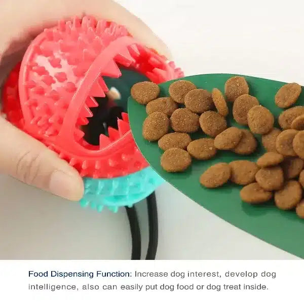 Suction Cup Interactive Dog Tug Chew Toy - Aqua5 @Ground Floor Dog Treats