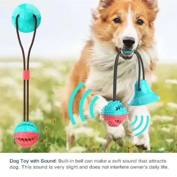 Suction Cup Interactive Dog Tug Chew Toy - Aqua6 @Ground Floor Dog Treats