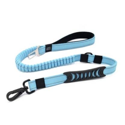 Multifunction Dog Lead 2 in 1 lead and seat belt - Blue