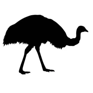 Emu Dog Treats